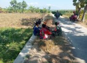 Sukseskan Ketahanan Pangan, Babinsa Komsos Dengan Petani Binaan