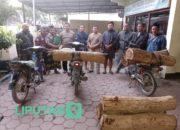 Polisi Amankan Terduga Pelaku Ilegal Logging di Bondowoso