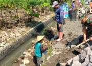 Wujud Kemanunggalan TNI dan Rakyat, Babinsa Bangun Talud