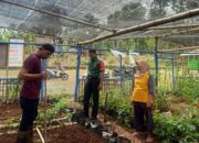 Babinsa Laksanakan Pendampingan Ibu PKK
