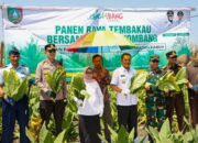 Forkompimda Jombang Hadiri Panen Raya Tembakau di Kabuh