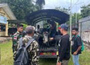 Jaga Stabilitas Keamanan, Satgas Yonif 122/TS Pos Kout Amankan Pengendara Sepeda Motor hasil Curian di Lintas Batas