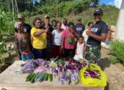 Satgas Yonif 623 Ciptakan Ketahanan Pangan bagi Masyarakat Papua   