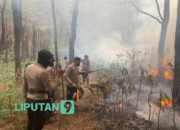 Sinergitas Polres Ngawi bersama TNI dan Pemkab Upaya Padamkan Api di Lereng Gunung Lawu