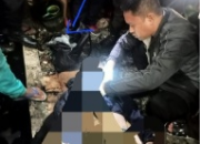 Pemuda yang Tewas Tersambar Kereta Api di Jl. Mangga Dua Jakpus, Diduga Bawa Tas Berisi,,,