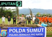 Terungkap Perburuan 150 Ha Ladang Ganja Menggunakan Teknologi Citra Satelit Milik Polda Sumut