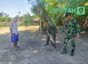 Manfaatkan Lahan Tidur! Pos Oepoli Pantai Satgas Yonkav 6/Naga Karimata, Sosialisasikan Produk Unggulan Kepada Masyarakat di Perbatasan