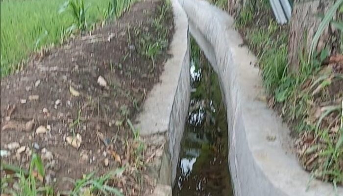 Dana Negara Diduga Disia-siakan: Proyek P3-TGAI Desa Tlagah Sampang Tumpang Tindih dan Tak Transparan