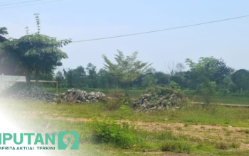 Taman Desa Masaran Terbengkalai, Aktivis Minta Inspektorat Sampang Lakukan Audit
