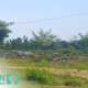 Taman Desa Masaran Terbengkalai, Aktivis Minta Inspektorat Sampang Lakukan Audit