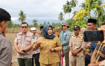 Rehabilitasi Lahan Pertanian Rampung, Petani Segera Masuk Masa Tanam