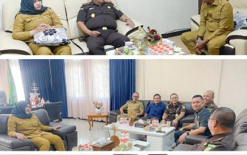 Kajari Madina Silaturahmi Ke Bupati Madina