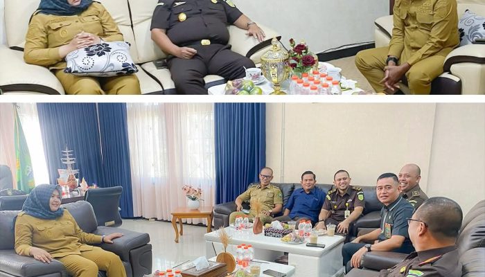 Kajari Madina Silaturahmi Ke Bupati Madina