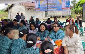 Ny.Lisa Deni Lumban Toruan Pimpin Langsung Monitoring Desa Percontohan