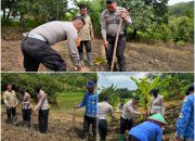 Wujud Nyata Polri Peduli Petani Satlantas Polres Kuningan Sukseskan Program Ketahanan Pangan