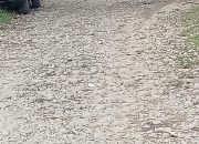 18 Tahun Menunggu, Jalan Alternatif Antara Jalan Pejuang 45  Karya Pembangunan