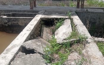 19 Tahun Kabupaten Palas Sudah Mekar,Kolam Dinas Perikanan, Baru Akan Diisi Ikan