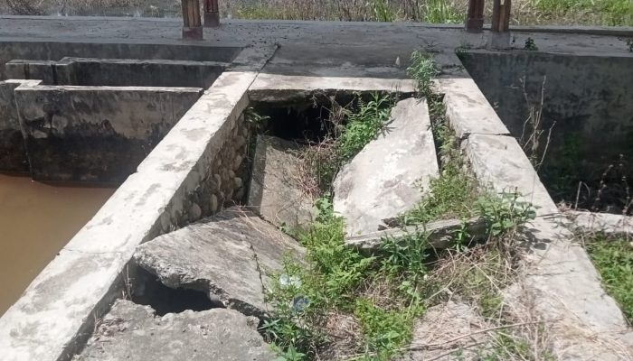19 Tahun Kabupaten Palas Sudah Mekar,Kolam Dinas Perikanan, Baru Akan Diisi Ikan