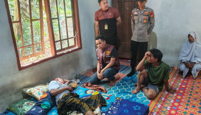 Seorang Petani Terluka Diserang Beruang Liar saat Menyadap Karet