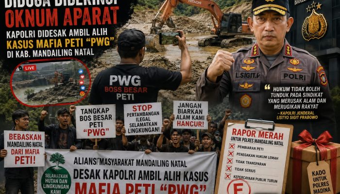 Diduga Dibekingi Oknum Aparat, Kapolri Didesak Ambil Alih Kasus Mafia PETI “Mr P” di Kab Madina
