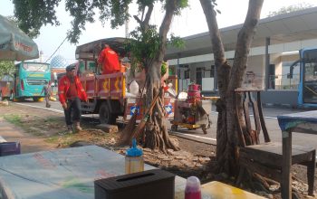 Pembuatan Garis Pembatas Akses Jalur Bus dan Kendaraan di Terminal Kalideres Tingkatkan Ketertiban Lalu Lintas