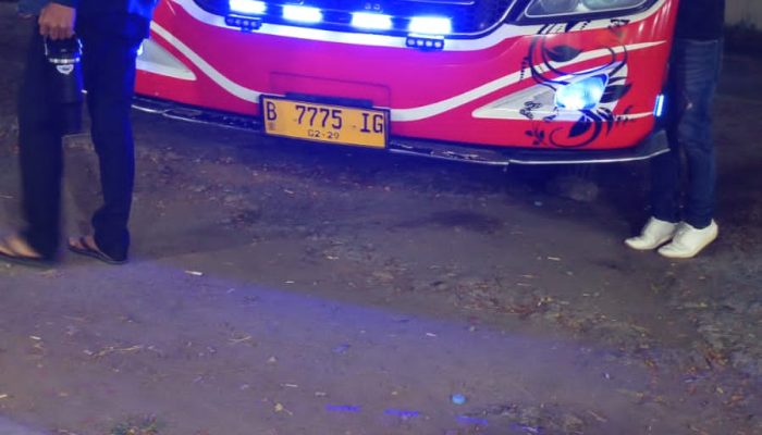 Diduga Pelayanan Bus PO Putri Candi Disorot Penumpang, Keluhkan Kursi Robek dan AC tidak Berfungsi
