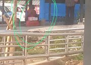 Geger Pedagang Tisu Diduga Berjualan di Area Akses Penumpang Halte Bus Way Kalideres Picu Sorotan soal Keterlibatan Umum