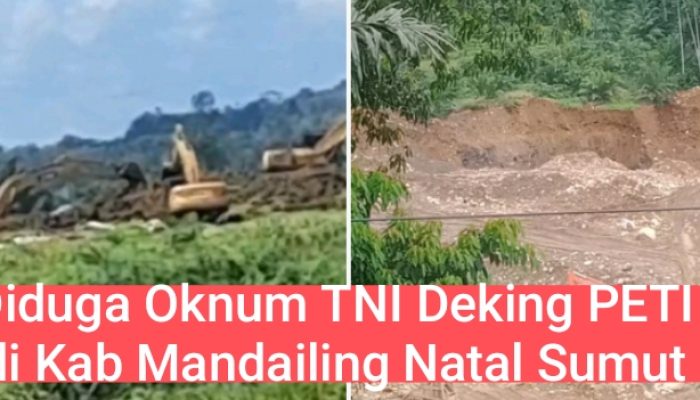 Diduga Dibekingi Oknum TNI, APH  tidak berkutik Tertibkan PETI di Madina