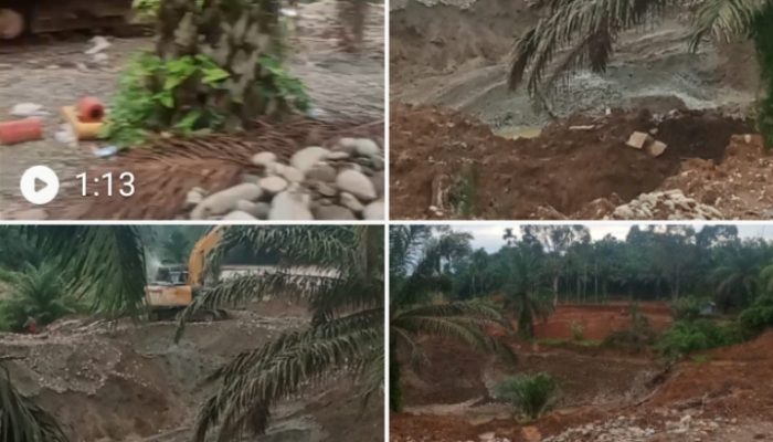 Gubsu Utus Tim: Kapolres Madina diminta Tindak Tegas PETI di Desa Kanca Kecamatan Ranto Baek