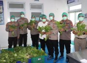Polda Metro Jaya Panen 82 Kilogram Pakcoy untuk Dukung Program Makan Bergizi Gratis