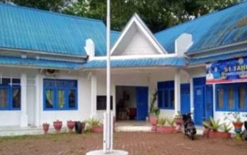 Inspektorat Madina Sikapi Isu Sekdes Pintu Padang Jae Terlibat PETI, Munawir,Kita Pelajari Dulu,