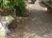 Akses Pejalan Kaki di Gang Pramuka Bakti 1 Jakarta Timur Disoroti, Parkir Motor Oknum Warga Diduga Ganggu Pengguna Jalan