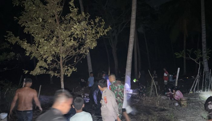 Seorang Bakar Rumput di Kebun Ciptakan Pohon Bara Setinggi 7 Meter di Laiyolo, Polisi dan Warga Turun Tangan