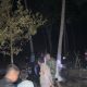 Seorang Bakar Rumput di Kebun Ciptakan Pohon Bara Setinggi 7 Meter di Laiyolo, Polisi dan Warga Turun Tangan