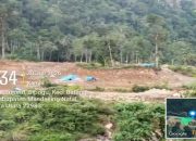 Kawasan Hutan Luluh Lantak Akibat Aktivitas PETI di Pantai Barat Mandailing Natal