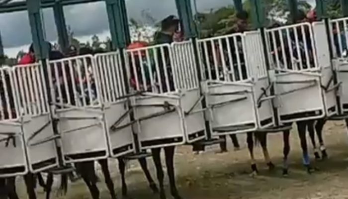 Lomba Pacuan Kuda Semarakkan HUT RI Ke 81 Tahun 2026 di Siborong borong