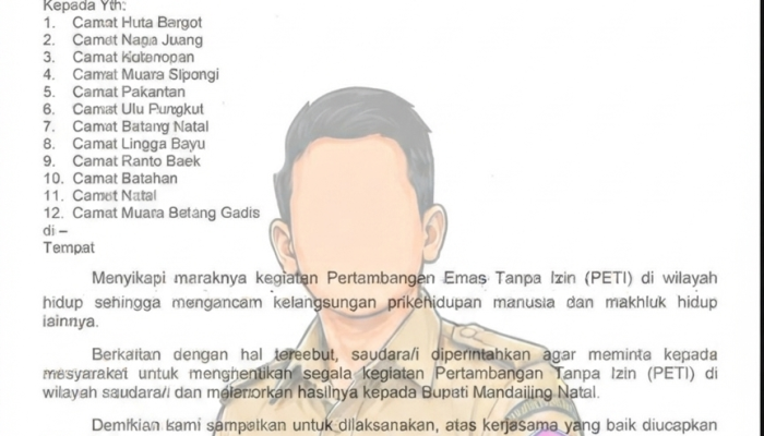 Satgas PETI Madina Diuji, Ada Dugaan Korban Tertimpa Kayu di Simpang Tolang Julu Milik Oknum Kades