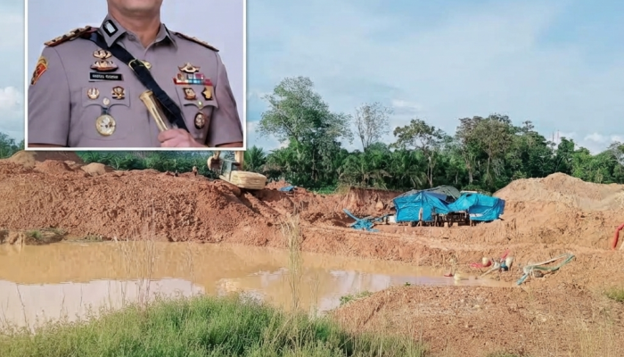 DPW IJEN Sumut Minta Kapolres Madina Tertibkan PETI di Eks PT M3 Pulo Padang, Viralnya Pemberitaan Jadi Pintu Masuk Penegakan Hukum