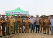 Wujudkan Pertanian Modern Pemkab Taput Tanam Jagung Bersama Petani Milenial di Kawasan Terpadu Sijaba