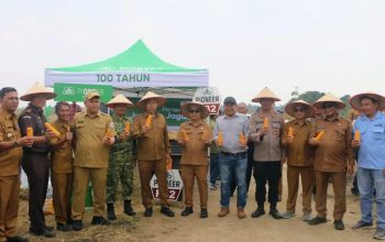 Wujudkan Pertanian Modern Pemkab Taput Tanam Jagung Bersama Petani Milenial di Kawasan Terpadu Sijaba