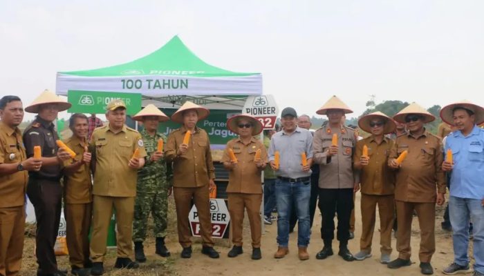 Wujudkan Pertanian Modern Pemkab Taput Tanam Jagung Bersama Petani Milenial di Kawasan Terpadu Sijaba