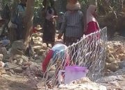 Tak Ingin Jalan Putus, Warga Pangeraman Pamekasan Gotong Royong Bangun Tebing Longsor