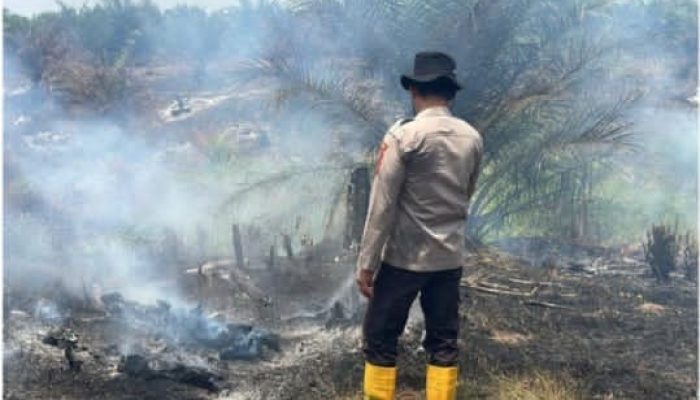 Titik Panas Muncul di Semeteh, Personel Polsek Muara Lakitan Polres Musi Rawas Sigap Cek Lokasi Karhutla
