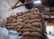 Polda Metro Jaya Ungkap Import Ilegal 49,85 Ton Kacang Tanah