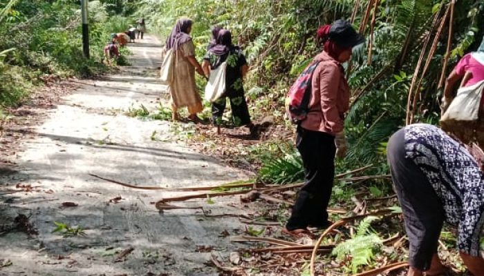 Dipimpin Ali Ansor Dua Periode,Desa Aek Baru Julu Batang Natal Makin Maju dan Berkembang