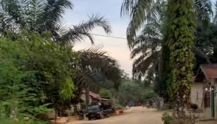 Dana Desa Ranto Panjang TA 2025 Terealisasi dengan Baik,Kades walau Status Desa Tertinggal Pembangunan Tetap Transparan Sesuai RAB