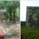 Kasi Intel Kejari Madina Berjanji Atensi Kasus ini: Diduga Puluhan Tahun Tanpa HGU dan Jarah Hutan Lindung, PTPN lV Kebun Timur Batahan Desak Diproses Hukum