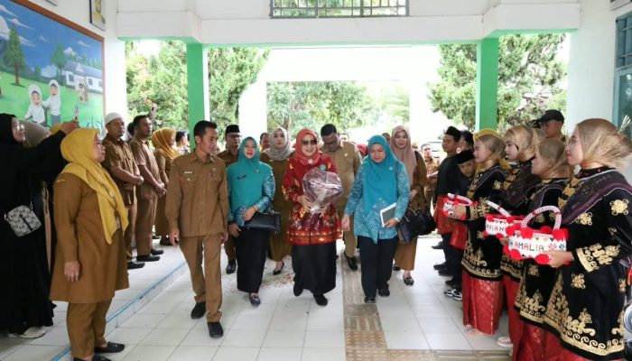Ketua TP PKK Madina Serahkan Bantuan untuk Siswa SLB