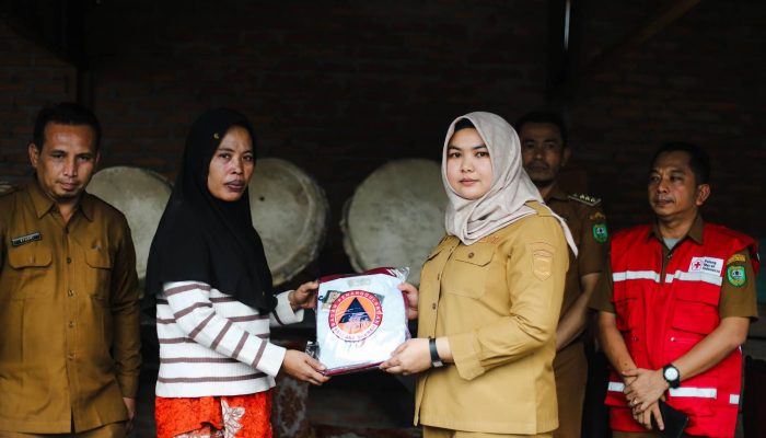 Korban Kebakaran di Panyabungan Tonga Terima Bantuan Dari Pemerintah