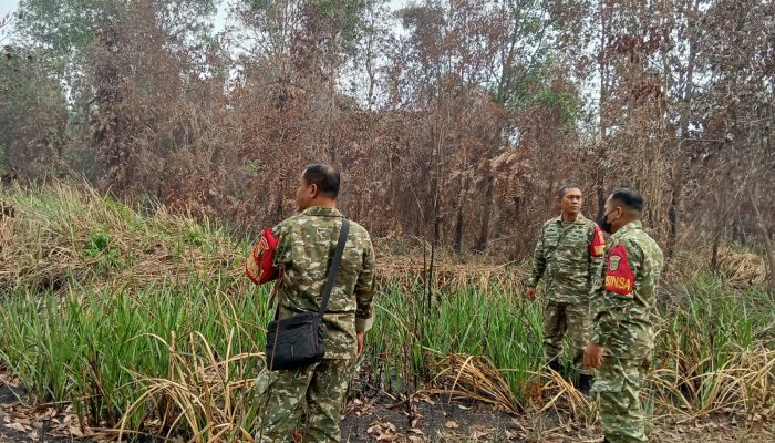 Koramil Lembang Patroli di Sungai Selincah Cek Lahan Bekas Terbakar Seluas 2 Herktar
